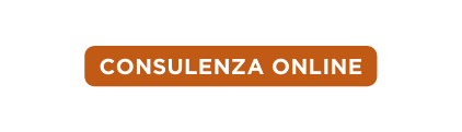 consulenza online